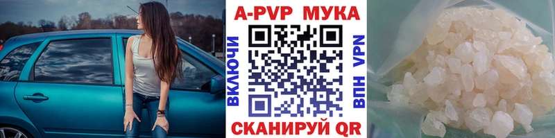 Альфа ПВП СК КРИС  Новосиль 