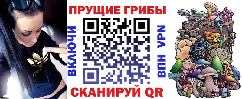 Галлюциногенные грибы мицелий Новосиль