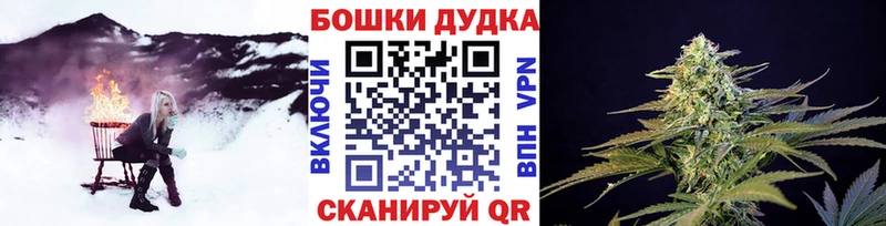 магазин продажи наркотиков  Новосиль  Конопля Bruce Banner 